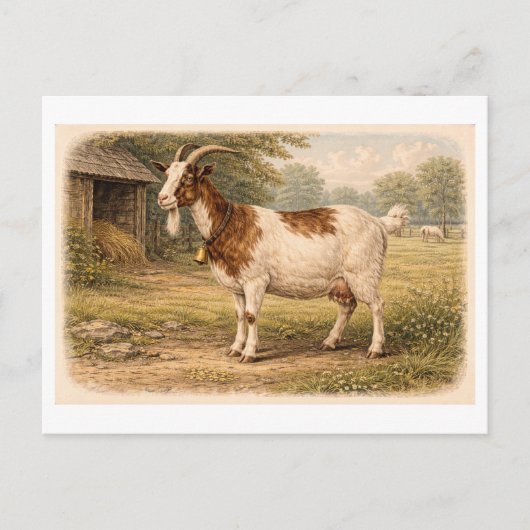 Vintage-Style Goat lllustration ポストカード (正面)