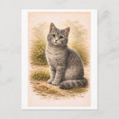 Vintage-Style Gray Cat Illustration ポストカード (正面)