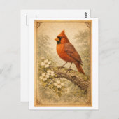 Vintage-Style Male Cardinal Illustration ポストカード (正面/裏面)