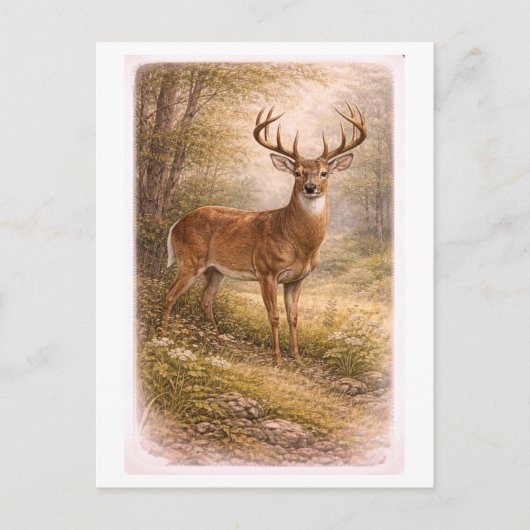 Vintage-Style Male Deer Illustration ポストカード (正面)