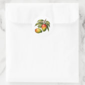 Vintage Style Mango Fruit Branch  ラウンドシール (バッグ)
