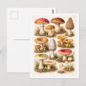 Vintage-Style Mushroom Illustration ポストカード (正面/裏面)
