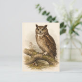 Vintage-Style Owl Illustration ポストカード (スタンド正面)