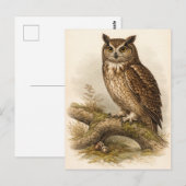 Vintage-Style Owl Illustration ポストカード (正面/裏面)
