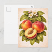 Vintage-Style Peach Botanical Illustration ポストカード (正面/裏面)