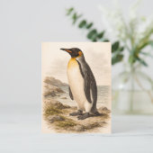 Vintage-Style Penguin Illustration ポストカード (スタンド正面)