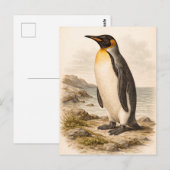 Vintage-Style Penguin Illustration ポストカード (正面/裏面)