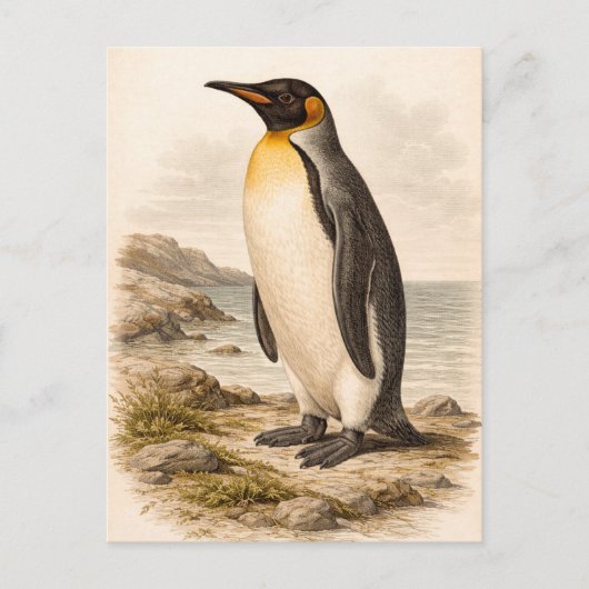 Vintage-Style Penguin Illustration ポストカード (正面)