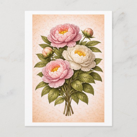 Vintage-Style Peony Botanical Illustration ポストカード (正面)