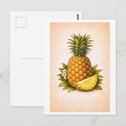 Vintage-Style Pineapple Botanical Illustration ポストカード (正面/裏面)