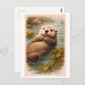 Vintage-Style Sea Otter Illustration ポストカード (正面/裏面)