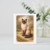 Vintage-Style Siamese Cat Illustration ポストカード (スタンド正面)