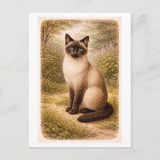 Vintage-Style Siamese Cat Illustration ポストカード (正面)