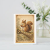 Vintage-Style Squirrel Illustration ポストカード (スタンド正面)