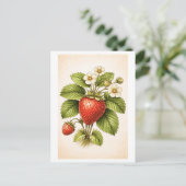 Vintage-Style Strawberry Botanical Illustration ポストカード (スタンド正面)