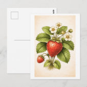 Vintage-Style Strawberry Botanical Illustration ポストカード (正面/裏面)