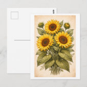 Vintage-Style Sunflower Botanical Illustration ポストカード (正面/裏面)