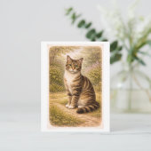 Vintage-Style Tabby Cat Illustration ポストカード (スタンド正面)