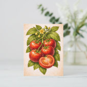 Vintage-Style Tomato Botanical Illustration ポストカード (スタンド正面)