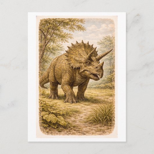 Vintage-Style Triceratops lllustration ポストカード (正面)