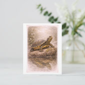 Vintage-Style Yellow-Bellied Slider Turtle  ポストカード (スタンド正面)