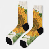 Vintage Sunflower Flower by Basilius Besler ソックス (左)
