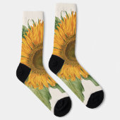Vintage Sunflower Flower by Basilius Besler ソックス (右)