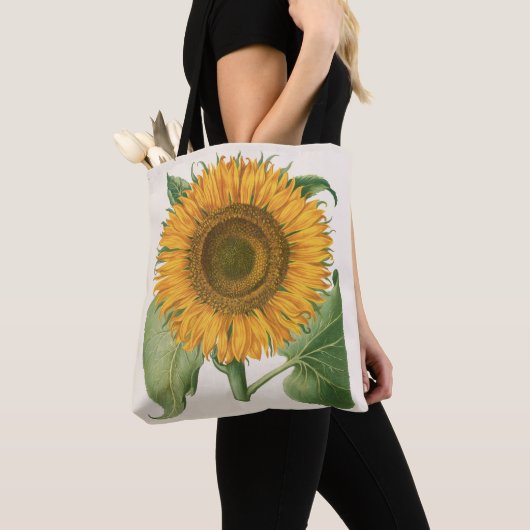 Vintage Sunflower Flower by Basilius Besler トートバッグ (クローズアップ)