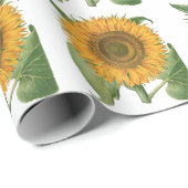 Vintage Sunflower Flower by Basilius Besler ラッピングペーパー (ロールコーナー)