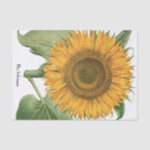 Vintage Sunflower Flower by Basilius Besler 薄葉紙 (正面)