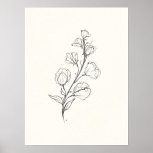 Vintage Sweetpea Print ポスター