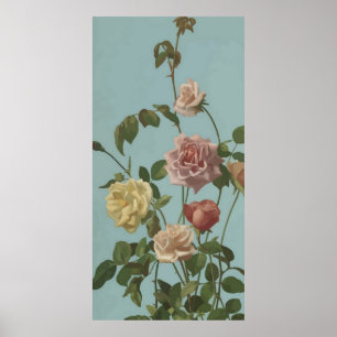 Vintage Tea Rose and Blush Roses ポスター