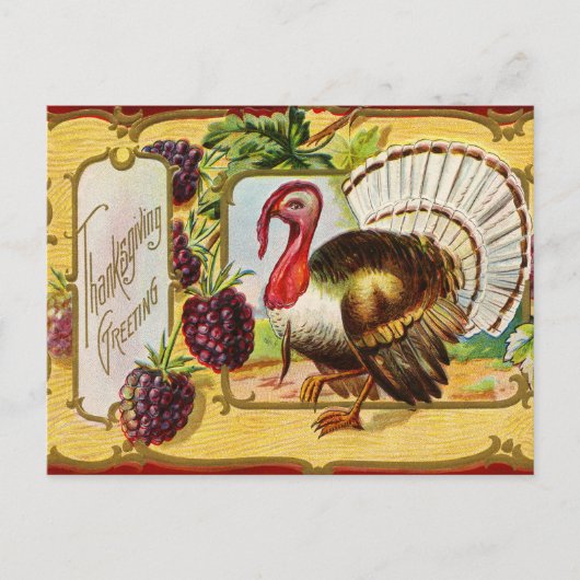 Vintage Thanksgiving Turkey and Blackberries  シーズンポストカード (正面)