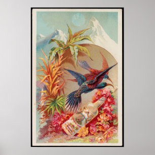 Vintage Tropical Birds Florida Water Advertisement ポスター