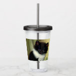 Vintage Tuxedo Kitten Illustration アクリルタンブラー<br><div class="desc">Acrylic Tumbler featuring a darling tuxedo kitten! This black and white kitten cutely poses on green and red blankets. A wonderful gift for cat lovers and Victorian art enthusiasts!</div>