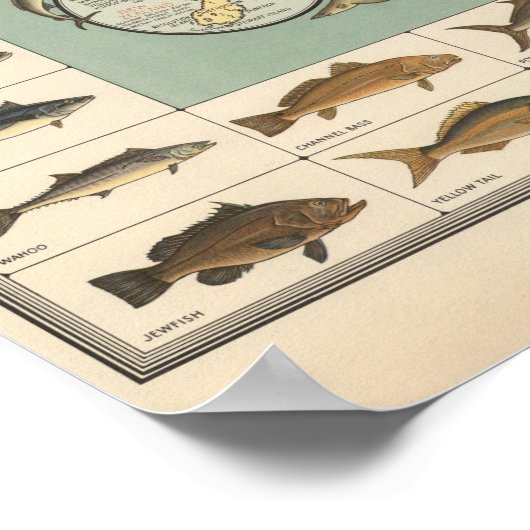 Vintage US Fish Map ポスター (角)