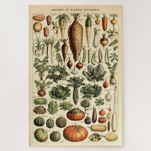 Vintage Vegetable Art by Adolphe Millot ジグソーパズル (縦)