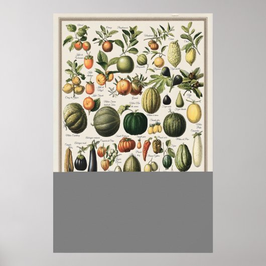 Vintage Vegetables Adolphe Millot Illustration ポスター (正面)