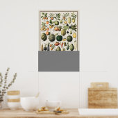 Vintage Vegetables Adolphe Millot Illustration ポスター (キッチン)