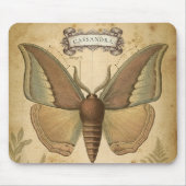 Vintage Victorian Entomology Art Botanical Moth マウスパッド (正面)