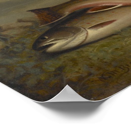 Vintage Walter Brackett Trout ポスター (角)