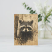 Vintage Waschbären Portrait ポストカード (スタンド正面)