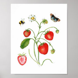 Vintage Watercolor Strawberry botanical Poster ポスター