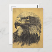 Vintage Weisskopfseeadler Portrait Raubvogel ポストカード (正面/裏面)