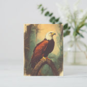 Vintage Weisskopfseeadler Postkarte ポストカード (スタンド正面)