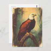 Vintage Weisskopfseeadler Postkarte ポストカード (正面/裏面)