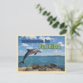 Vintage Welcome to Florida Dolphin ポストカード (スタンド正面)