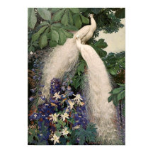 Vintage White Peacock Poster