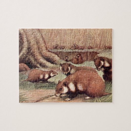 Vintage Wild Animals, Hamsters by Louis Sargent ジグソーパズル (横)