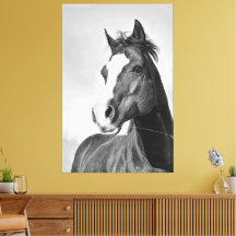 Vintage Wild Spirited Horse Black and White